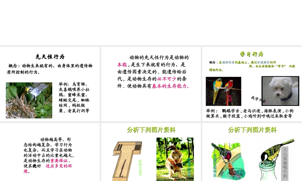 八年级生物上册 5.2.2 先天性行为和学习行为课件4 （新版）新人教版