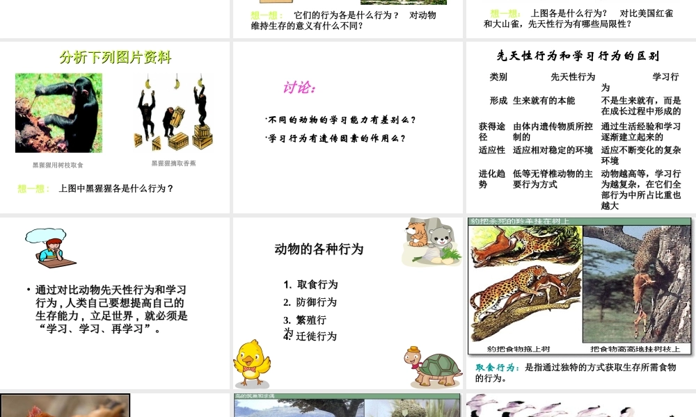 八年级生物上册 5.2.2 先天性行为和学习行为课件4 （新版）新人教版