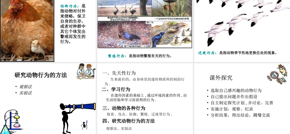 八年级生物上册 5.2.2 先天性行为和学习行为课件4 （新版）新人教版