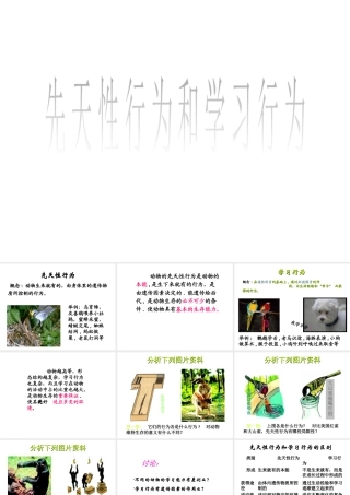 八年级生物上册 5.2.2 先天性行为和学习行为课件4 （新版）新人教版