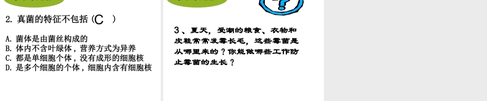 八年级生物上册 5.4.3 真菌课件 （新版）新人教版