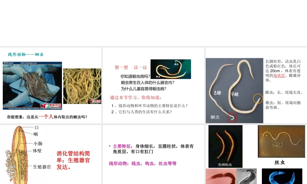 八年级生物上册 5.1.2 线形动物和环节动物课件 （新版）新人教版