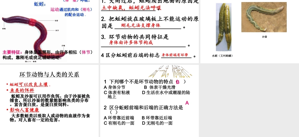 八年级生物上册 5.1.2 线形动物和环节动物课件 （新版）新人教版