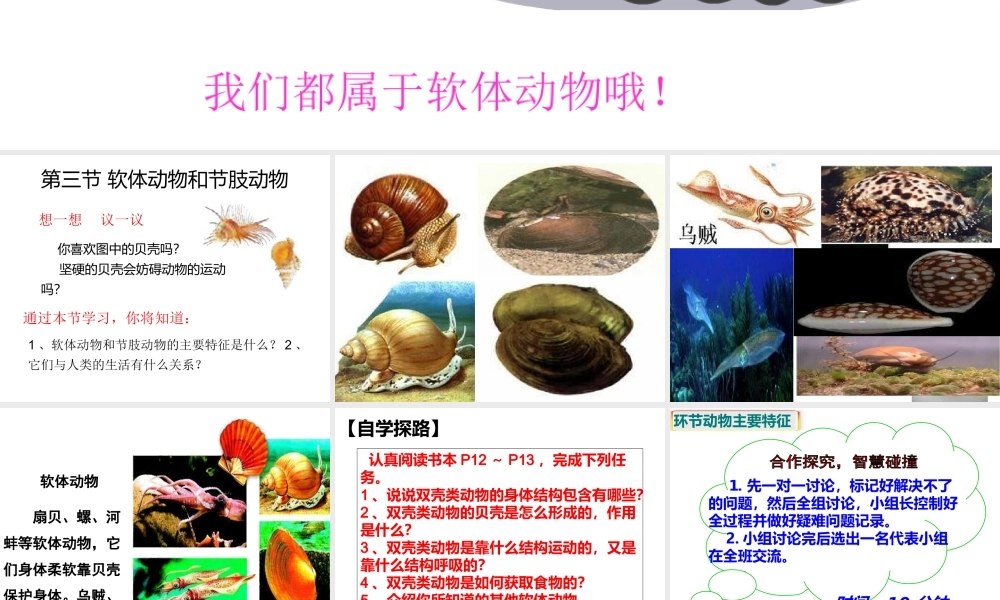 八年级生物上册 5.1.3《软体动物和节肢动物》课件2 （新版）新人教版-（新版）新人教级上册生物课件