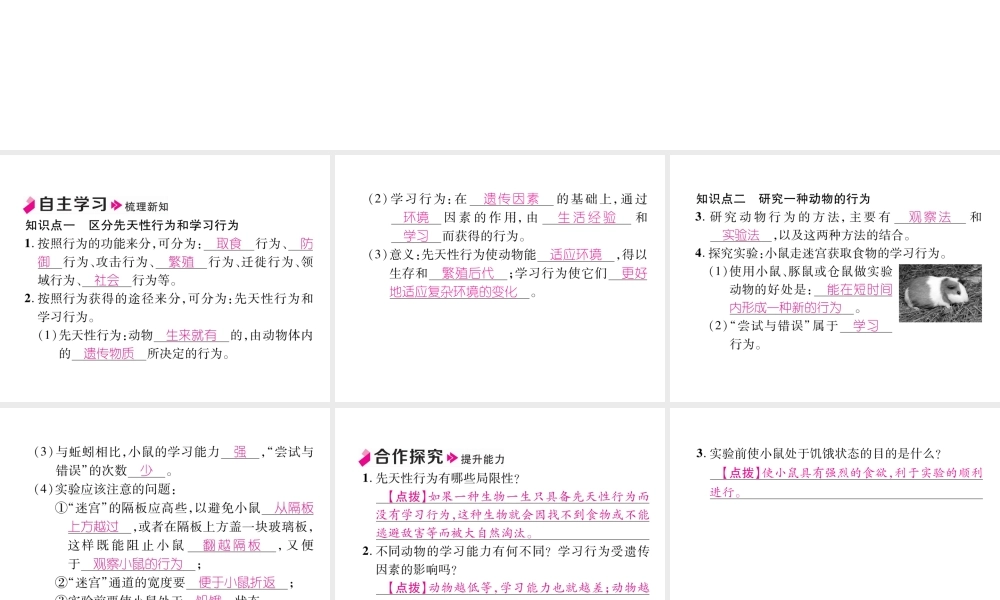 八年级生物上册 5.2.2 先天性行为和学习行为作业课件 （新版）新人教版-（新版）新人教版初中八年级上册生物课件