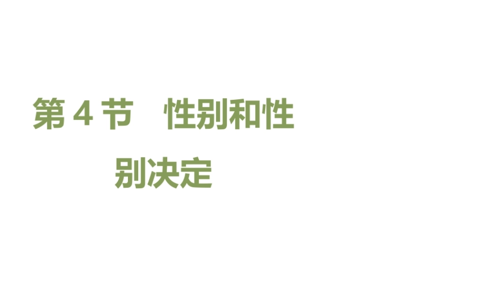 八年级生物上册 20.4 性别和性别决定课件（2）（新版）北师大版-（新版）北师大版初中八年级上册生物课件