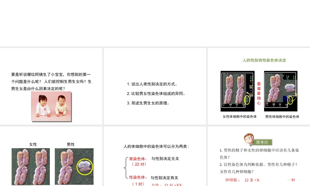 八年级生物上册 20.4 性别和性别决定课件（2）（新版）北师大版-（新版）北师大版初中八年级上册生物课件