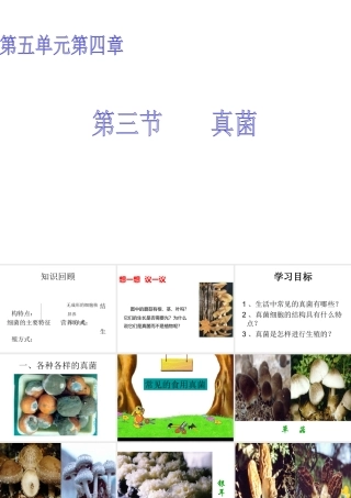 八年级生物上册 5.4.3 真菌课件1 （新版）新人教版-（新版）新人教版初中八年级上册生物课件