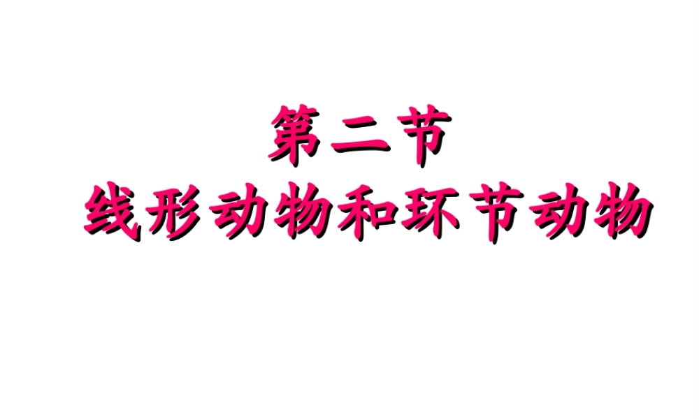 八年级生物上册 5.1.2 线形动物和环节动物课件 （新版）新人教版五四制-（新版）新人教版初中八年级上册生物课件