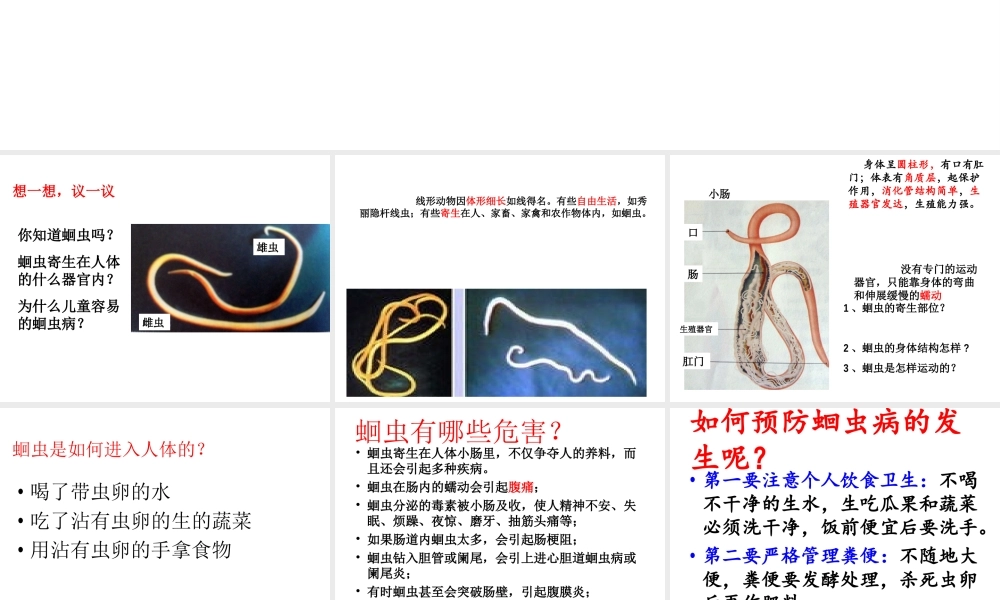 八年级生物上册 5.1.2 线形动物和环节动物课件 （新版）新人教版五四制-（新版）新人教版初中八年级上册生物课件