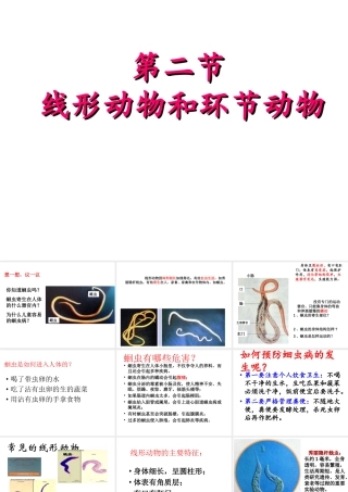八年级生物上册 5.1.2 线形动物和环节动物课件 （新版）新人教版五四制-（新版）新人教版初中八年级上册生物课件