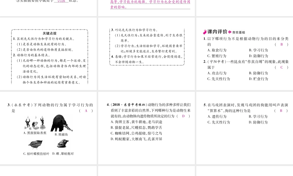 八年级生物上册 5.2.2 先天性行为和学习行为作业课件 （新版）新人教版-（新版）新人教级上册生物课件