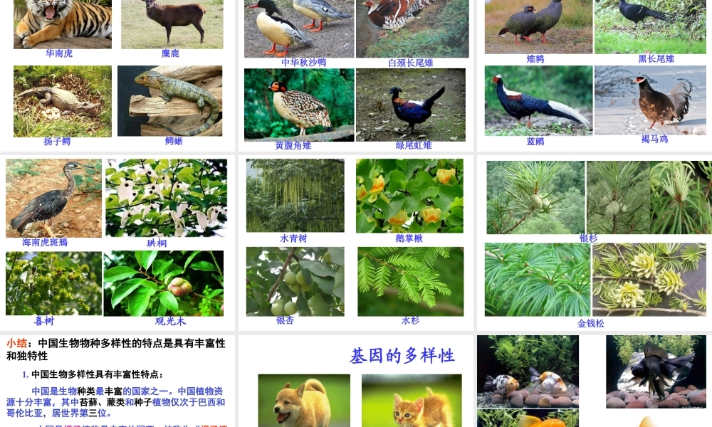 八年级生物上册 6.2《认识生物的多样性》课件4 （新版）新人教版-（新版）新人教级上册生物课件