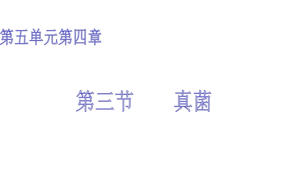 八年级生物上册 5.4.3 真菌课件1 （新版）新人教版-（新版）新人教级上册生物课件