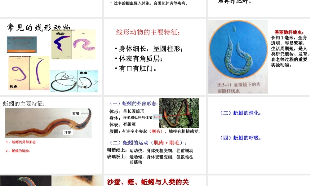 八年级生物上册 5.1.2 线形动物和环节动物课件 （新版）新人教版五四制-（新版）新人教级上册生物课件