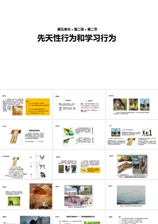 八年级生物上册 5.2.2《先天性行为和学习行为》教学课件 （新版）新人教版-（新版）新人教版初中八年级上册生物课件
