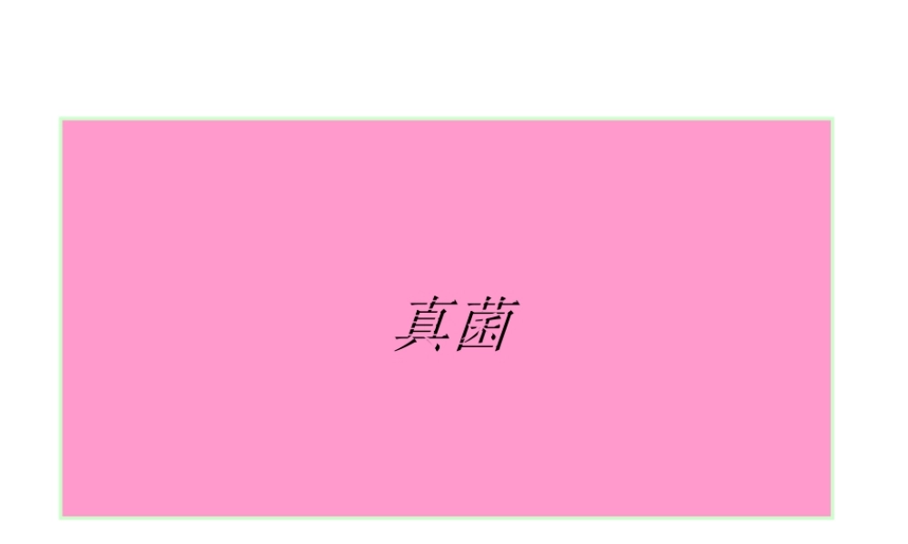 八年级生物上册 5.4.3 真菌课件1 （新版）新人教版