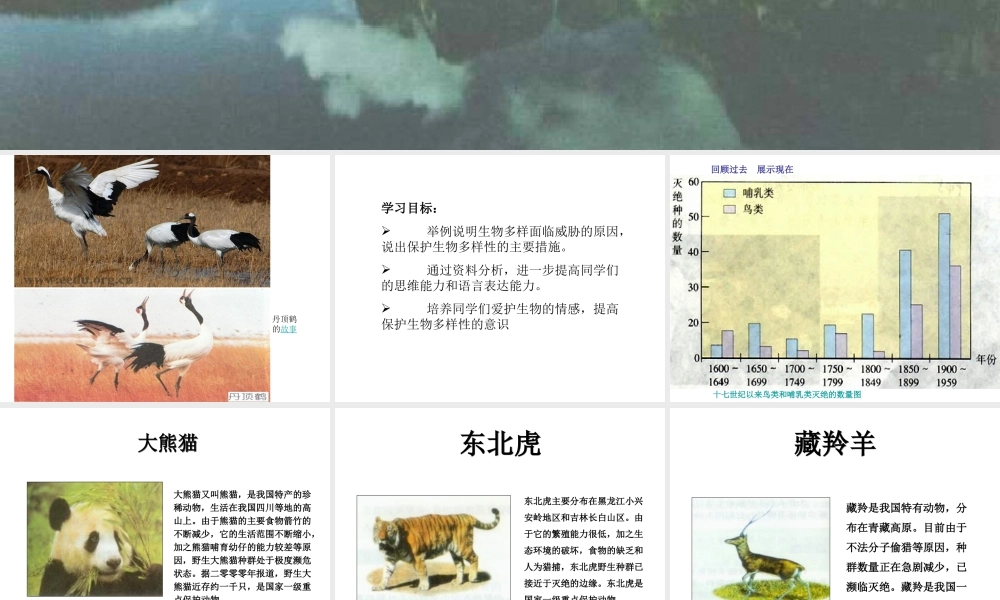 八年级生物上册 6.2《生物多样性的保护》课件 （新版）新人教版-（新版）新人教版初中八年级上册生物课件