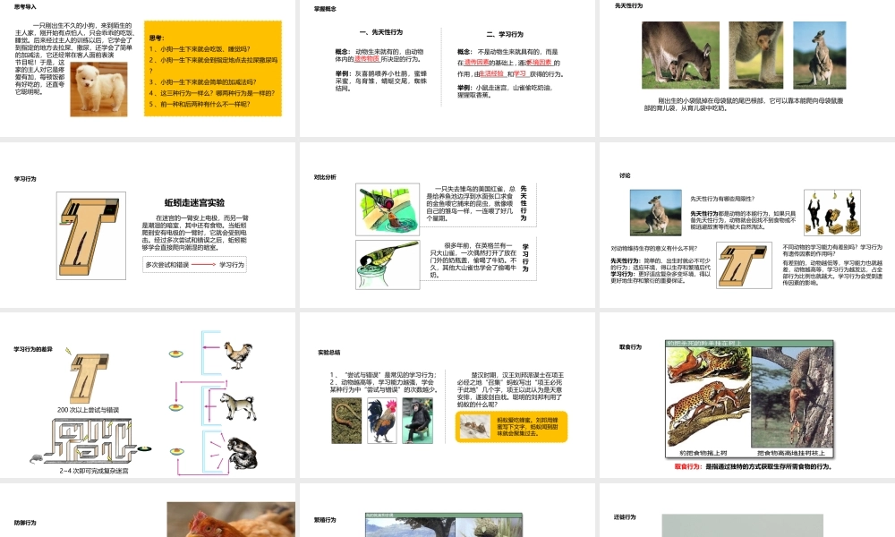 八年级生物上册 5.2.2《先天性行为和学习行为》教学课件 （新版）新人教版-（新版）新人教级上册生物课件