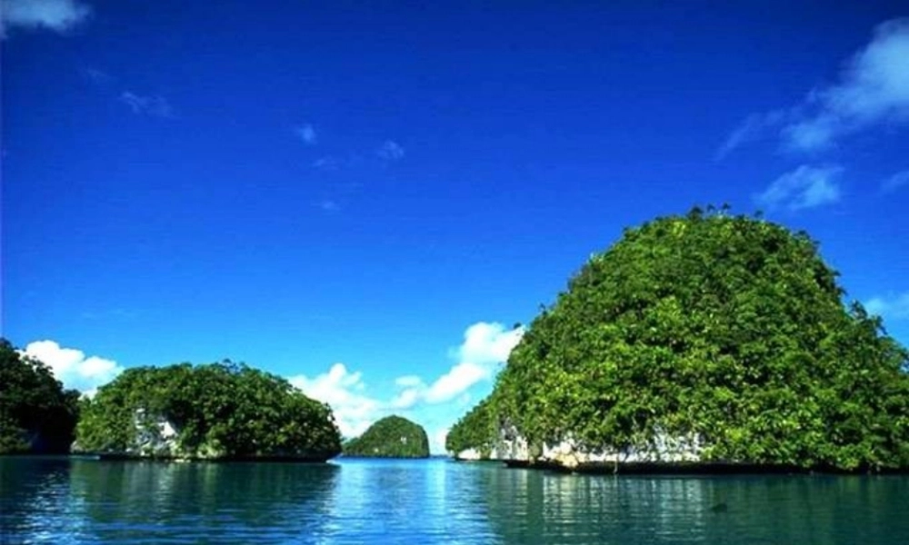 八年级生物上册 5.4.3 真菌课件2 （新版）新人教版-（新版）新人教版初中八年级上册生物课件