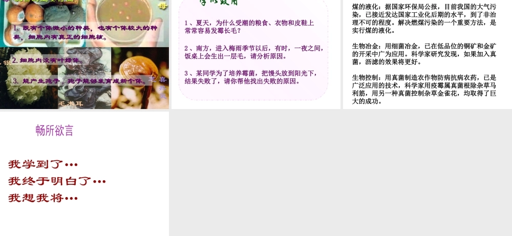 八年级生物上册 5.4.3 真菌课件2 （新版）新人教版-（新版）新人教版初中八年级上册生物课件