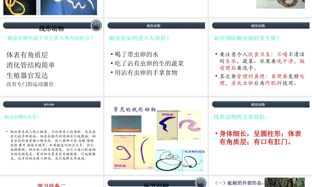 八年级生物上册 5.1.2 线形动物和环节动物课件1 （新版）新人教版-（新版）新人教级上册生物课件