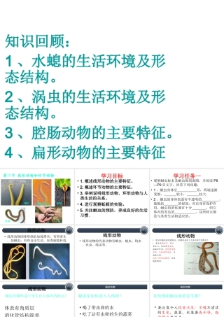 八年级生物上册 5.1.2 线形动物和环节动物课件1 （新版）新人教版-（新版）新人教级上册生物课件