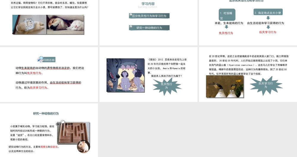 八年级生物上册 5.2.2《先天性行为和学习行为》课件 （新版）新人教版-（新版）新人教版初中八年级上册生物课件