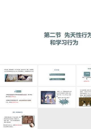 八年级生物上册 5.2.2《先天性行为和学习行为》课件 （新版）新人教版-（新版）新人教版初中八年级上册生物课件