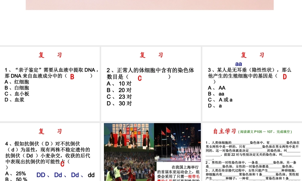 八年级生物上册 20.4《性别和性别决定》课件5 （新版）北师大版-（新版）北师大版初中八年级上册生物课件