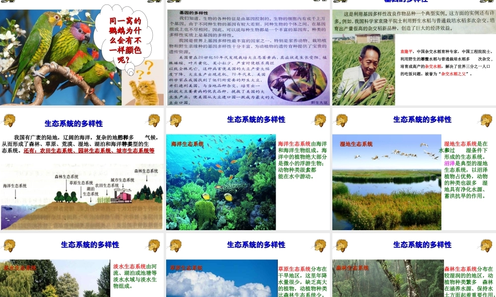 八年级生物上册 6.2认识生物的多样性课件 （新版）新人教版-（新版）新人教版初中八年级上册生物课件