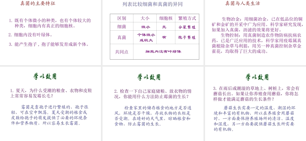 八年级生物上册 5.4.3 真菌课件2 （新版）新人教版