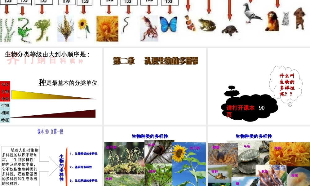 八年级生物上册 6.2认识生物的多样性课件 （新版）新人教版-（新版）新人教级上册生物课件
