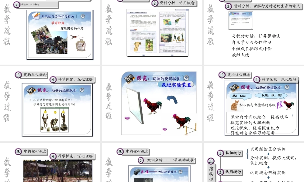 八年级生物上册 5.2.2《先天性行为和学习行为》课件 人教新课标版