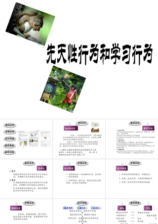 八年级生物上册 5.2.2《先天性行为和学习行为》课件 人教新课标版