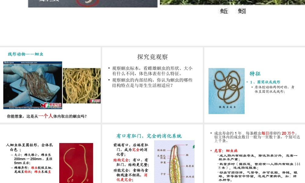 八年级生物上册 5.1.2 线形动物和环节动物课件2 （新版）新人教版-（新版）新人教级上册生物课件