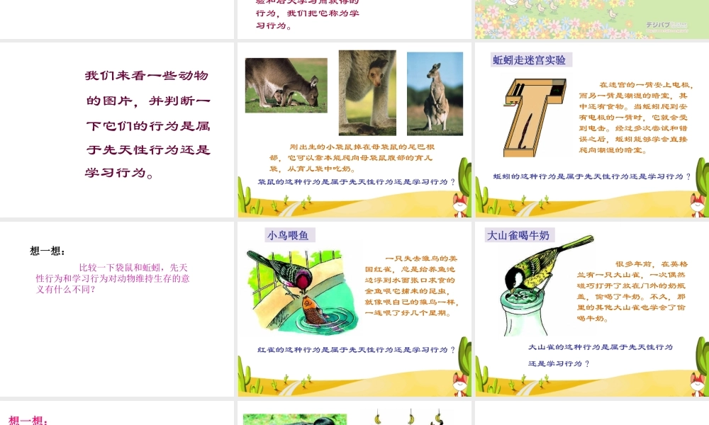 八年级生物上册 5.2.2《先天性行为和学习行为》课件1 （新版）新人教版-（新版）新人教版初中八年级上册生物课件