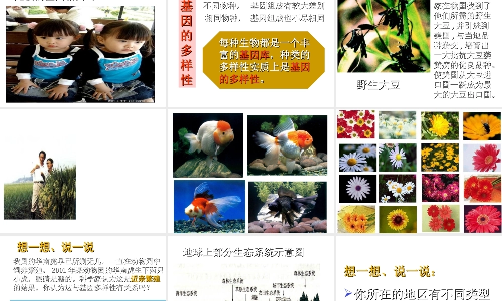 八年级生物上册 6.2认识生物的多样性课件 人教新课标版