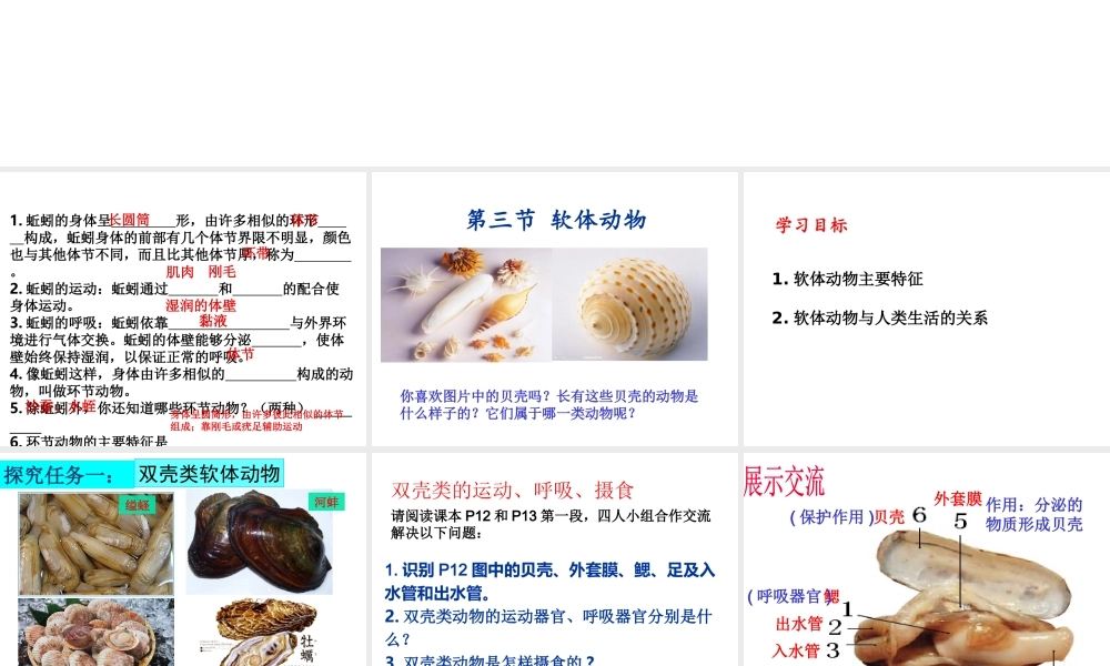 八年级生物上册 5.1.3《软体动物和节肢动物》课件4 （新版）新人教版-（新版）新人教级上册生物课件