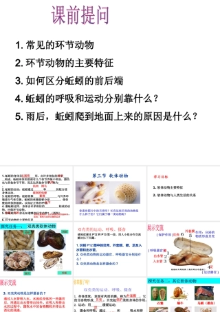 八年级生物上册 5.1.3《软体动物和节肢动物》课件4 （新版）新人教版-（新版）新人教级上册生物课件