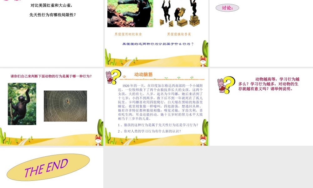 八年级生物上册 5.2.2《先天性行为和学习行为》课件1 （新版）新人教版-（新版）新人教级上册生物课件