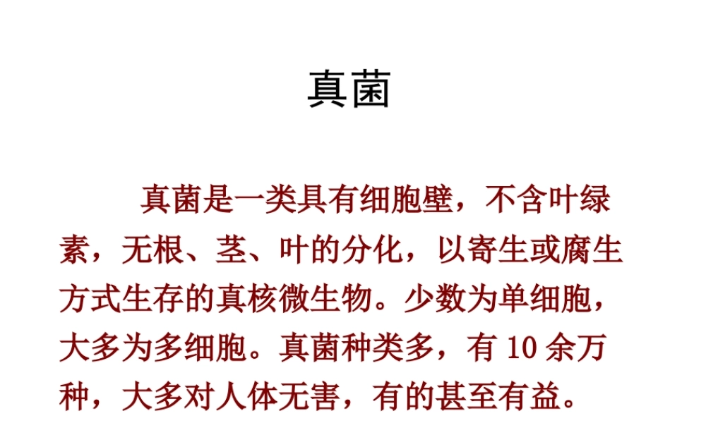 八年级生物上册 5.4.3 真菌课件4 （新版）新人教版