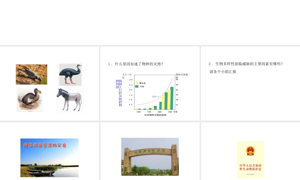八年级生物上册 6.3 保护生物的多样性教学课件 （新版）新人教版-（新版）新人教版初中八年级上册生物课件
