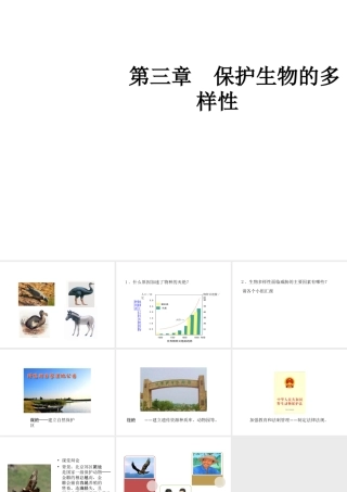 八年级生物上册 6.3 保护生物的多样性教学课件 （新版）新人教版-（新版）新人教版初中八年级上册生物课件