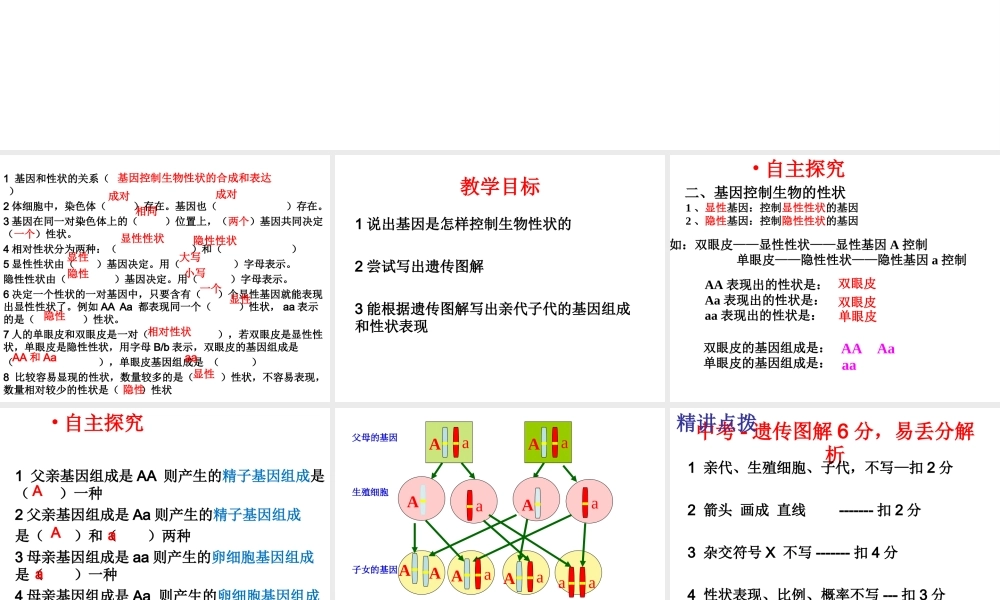 八年级生物上册 44.2 性状的遗传课件 （新版）济南版-（新版）济南级上册生物课件