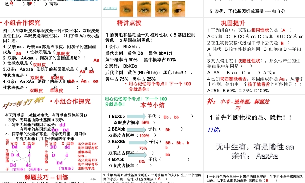 八年级生物上册 44.2 性状的遗传课件 （新版）济南版-（新版）济南级上册生物课件