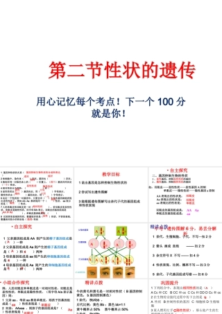 八年级生物上册 44.2 性状的遗传课件 （新版）济南版-（新版）济南级上册生物课件