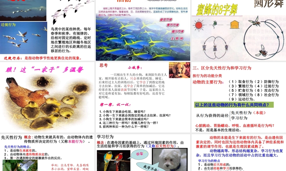 八年级生物上册 5.2.2《先天性行为和学习行为》课件2 （新版）新人教版-（新版）新人教版初中八年级上册生物课件