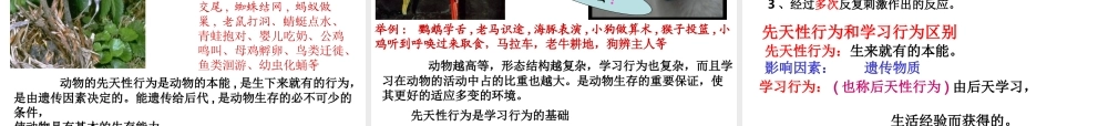 八年级生物上册 5.2.2《先天性行为和学习行为》课件2 （新版）新人教版-（新版）新人教版初中八年级上册生物课件