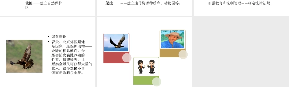 八年级生物上册 6.3 保护生物的多样性教学课件 （新版）新人教版-（新版）新人教级上册生物课件